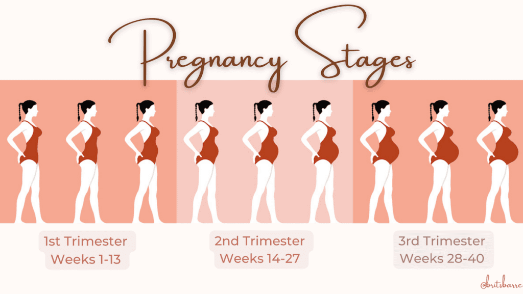 prenatal barre workout