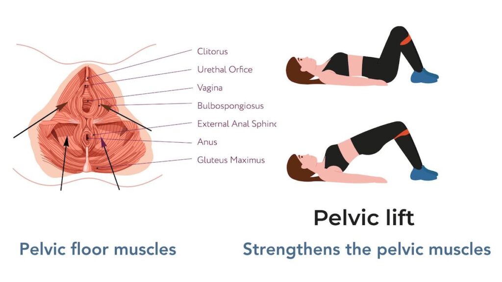 360 breathing during pregnancy to help with pelvic floor strength